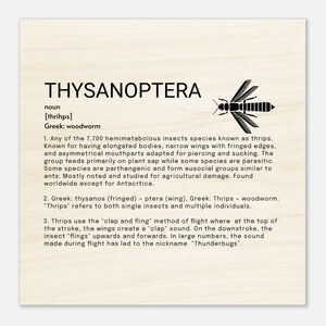 Thysanoptera - Wood Prints 20x20 cm / 8x8″