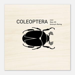 Beetle - Wood Prints 20x20 cm / 8x8″