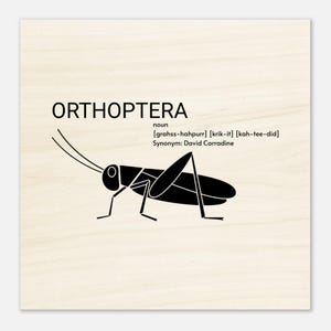 Grasshopper - Wood Prints 20x20 cm / 8x8″