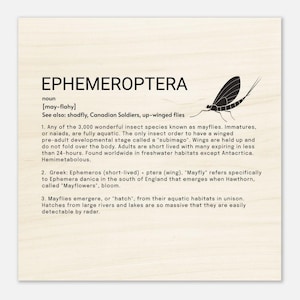 Ephemeroptera - Wood Prints 20x20 cm / 8x8″