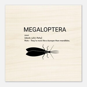 Dobsonfly - Wood Prints 20x20 cm / 8x8″