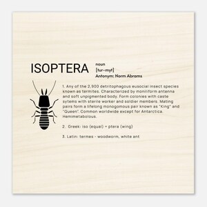 Isoptera - Wood Prints 20x20 cm / 8x8″