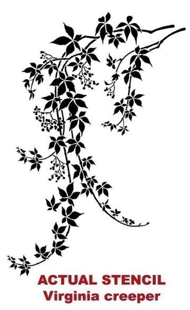 Wall Stencil Virginia Creeper LG DIY decor with stencils image 5