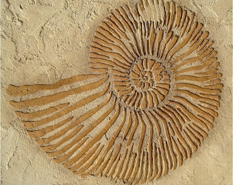 Large Stencil Ammonite Fossil - Raised plaster stencils for walls - Plaster stencils - Fossil stencils - Shell stencil for painting walls