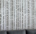 Birch Forest Wall Stencil - LARGE WALL STENCIL instead of Wallpaper - Easy to Use Wall Stencils for a Quick Room Update - Stencils for Walls 