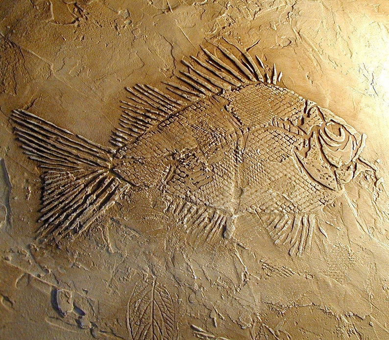 Prehistoric Large Fish Fossil Stencil Raised plaster stencil for home decor image 2