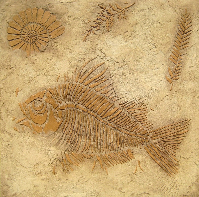 Prehistoric Large Fish Fossil Stencil Raised plaster stencil for home decor image 3