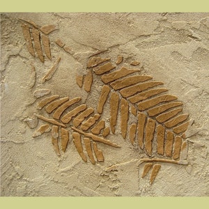Stencil Prehistoric Fern Fossils - Raised Plaster stenciling