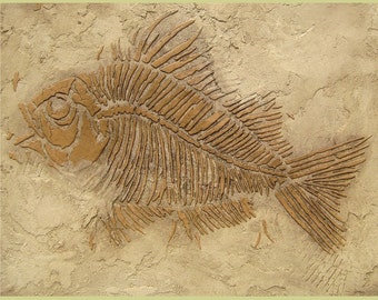 Prehistoric Large Fish Fossil Stencil - Raised plaster stencil for home decor