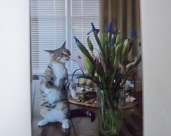 Vintage Kitty Art Photography Cat Lover Print "Stop and Smell the Flowers"