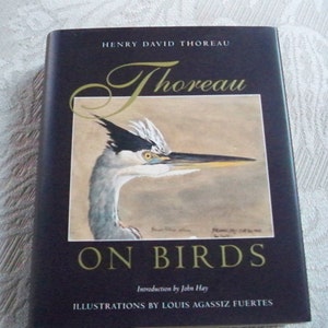 Vintage Collectible Bird Book "Thoreau on Birds" 1993 Illustrated