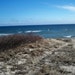 Owner of <a href='https://www.etsy.com/shop/ThisandThatCapeCod?ref=l2-about-shopname&from_page=listing' class='wt-text-link'>ThisandThatCapeCod</a>