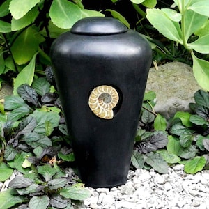 May include: A black urn with a lid, featuring a fossilized ammonite design. The urn is set against a backdrop of green foliage and small white stones, creating a natural and serene aesthetic.