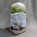 see more listings in the URNS section