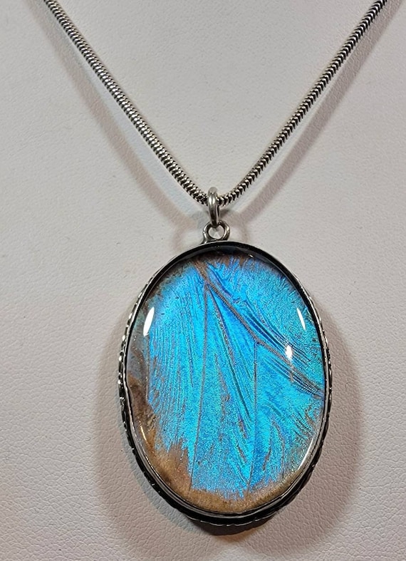 Butterfly wing pendant Blue Morpho Bug jewelry Ste