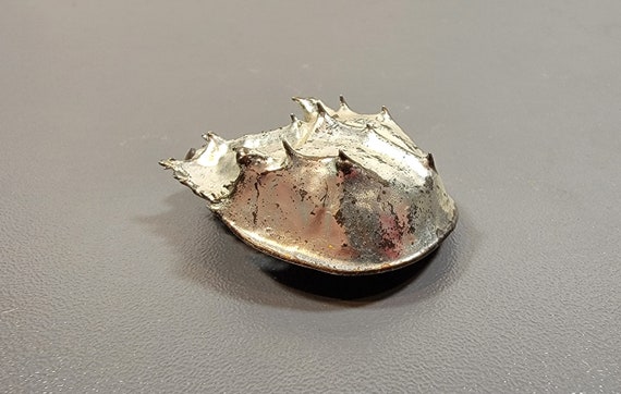 horseshoe crab brooch silver dipped exoskeleton as is