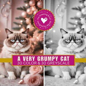 Grumpy Cat Coloring Book | Funny Pet Art, Christmas Decor (PDF)