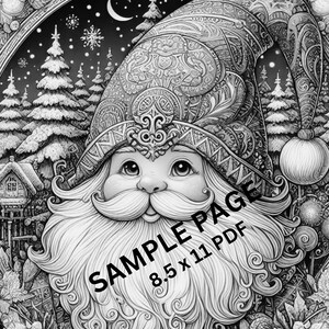 May include: A black and white illustration of a whimsical Christmas gnome with a large, ornate hat. The gnome is surrounded by a detailed border of wintery foliage and snowflakes. The text "SAMPLE PAGE 8.5 x 11 PDF" is printed on the image.