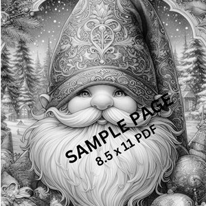 May include: A black and white illustration of a gnome wearing a detailed, ornate hat. The gnome has a long, flowing beard and is surrounded by a wintery scene with snow falling. The text "SAMPLE PAGE 8.5 x 11 PDF" is superimposed on the image.