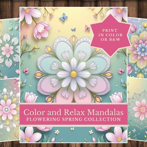 Spring Floral Mandalas: Printable Coloring Pages, DIY Art (PDF Download)