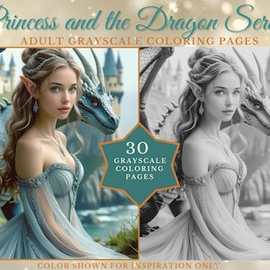 Fairy Princess and the Dragon Coloring Pages – 30 Grayscale Fantasy PDF | Adult Fairy Tale Art Book | Digital Download Printable Relaxation
