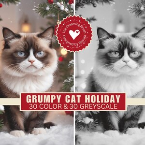 Può includere: Immagine digitale di un gatto scontroso a colori e in scala di grigi, con decorazioni a tema festivo. L'immagine include il testo "GRUMPY CAT HOLIDAY" e "30 COLOR & 30 GREYSCALE". Il gatto ha gli occhi blu e un mantello bianco e marrone.