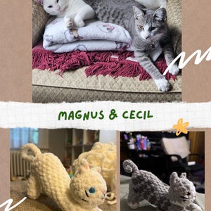 May include: A collage featuring two real cats and two crocheted cat figurines. The top image shows a white cat and a gray tabby cat resting on a patterned blanket. Below, two crocheted cats, one cream and one gray, are displayed. The text "MAGNUS & CECIL" is in the center.