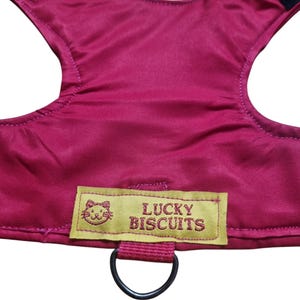May include: A magenta pet harness with a black strap and a D-ring. The harness features a yellow label with the text "LUCKY BISCUITS" and a cat illustration.