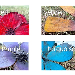 Pu&ograve; includere: Immagini ravvicinate di fiori metallici rossi, gialli, viola e turchese. Ogni fiore &egrave; posto su uno sfondo di erba ed &egrave; etichettato con il suo colore. I fiori sembrano usurati.