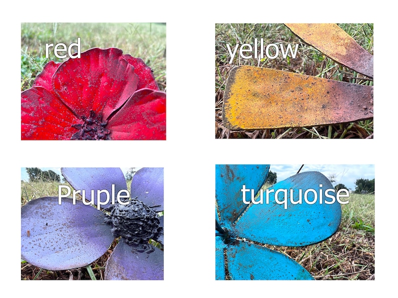 Pu&ograve; includere: Immagini ravvicinate di fiori metallici rossi, gialli, viola e turchese. Ogni fiore &egrave; posto su uno sfondo di erba ed &egrave; etichettato con il suo colore. I fiori sembrano usurati.