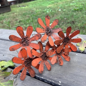 May include: A cluster of orange metal flowers with a rustic, weathered appearance. The flowers have multiple petals and dark centers, resting on a wooden surface. The image includes a few fallen leaves.