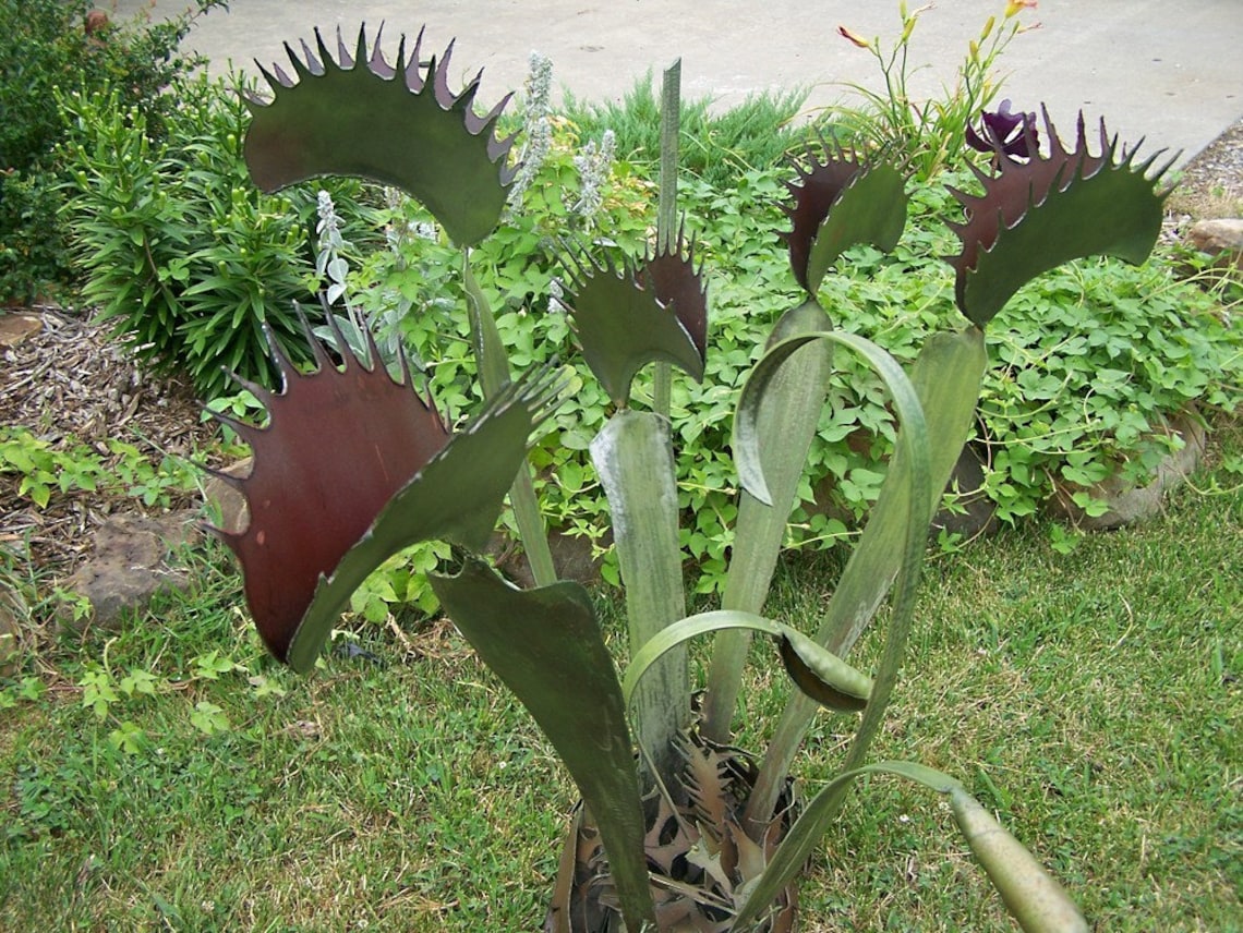 Venus Flytrap Sculpture Outdoor Venus Flytrap Art Etsy