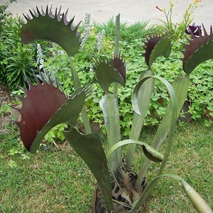 Venus flytrap sculpture - Outdoor venus flytrap art - Carnivorous plant sculpture - Kinetic wind movement - Green and red plant artwork