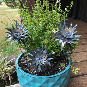 Op de afbeelding: Drie metalen bloemen in een turquoise pot. De bloemen zijn zwart en hebben een stekelig, zon-achtig ontwerp. De pot is getextureerd en heeft een ruitpatroon.