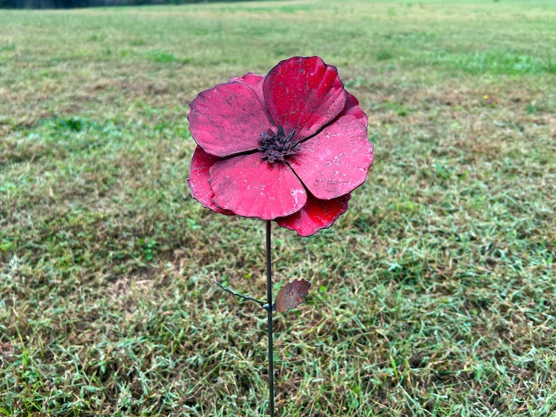 Pu&ograve; includere: Scultura floreale in metallo rosso vibrante, con un centro scuro, montata su un sottile stelo di metallo. La scultura presenta un piccolo dettaglio di foglia ed &egrave; ambientata su uno sfondo di erba verde in un giardino.
