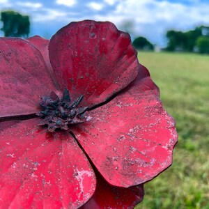 Pu&ograve; includere: Primo piano di un grande fiore di metallo rosso con un centro scuro. Il fiore ha petali strutturati ed &egrave; ambientato su uno sfondo sfocato di erba verde e cielo nuvoloso. Il fiore sembra essere un ornamento decorativo da giardino.