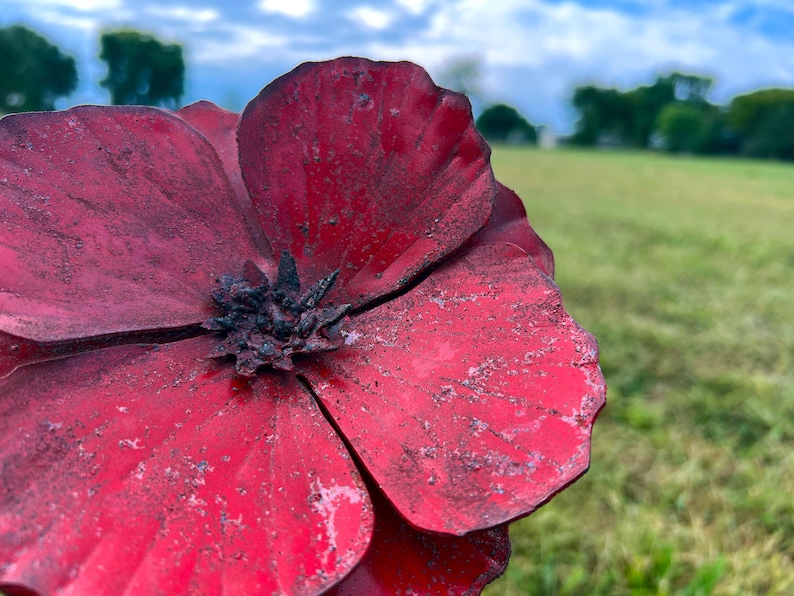Pu&ograve; includere: Primo piano di un grande fiore di metallo rosso con un centro scuro. Il fiore ha petali strutturati ed &egrave; ambientato su uno sfondo sfocato di erba verde e cielo nuvoloso. Il fiore sembra essere un ornamento decorativo da giardino.