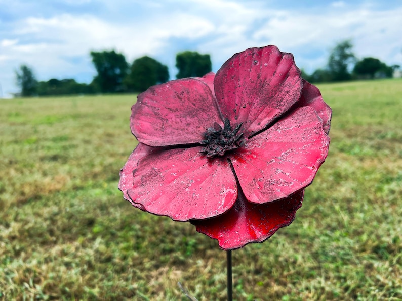 Pu&ograve; includere: Una grande scultura floreale in metallo realizzata a mano, di colore rosso intenso e con un centro scuro. I petali hanno un aspetto strutturato e la scultura &egrave; montata su un sottile stelo di metallo nero, su un campo erboso.