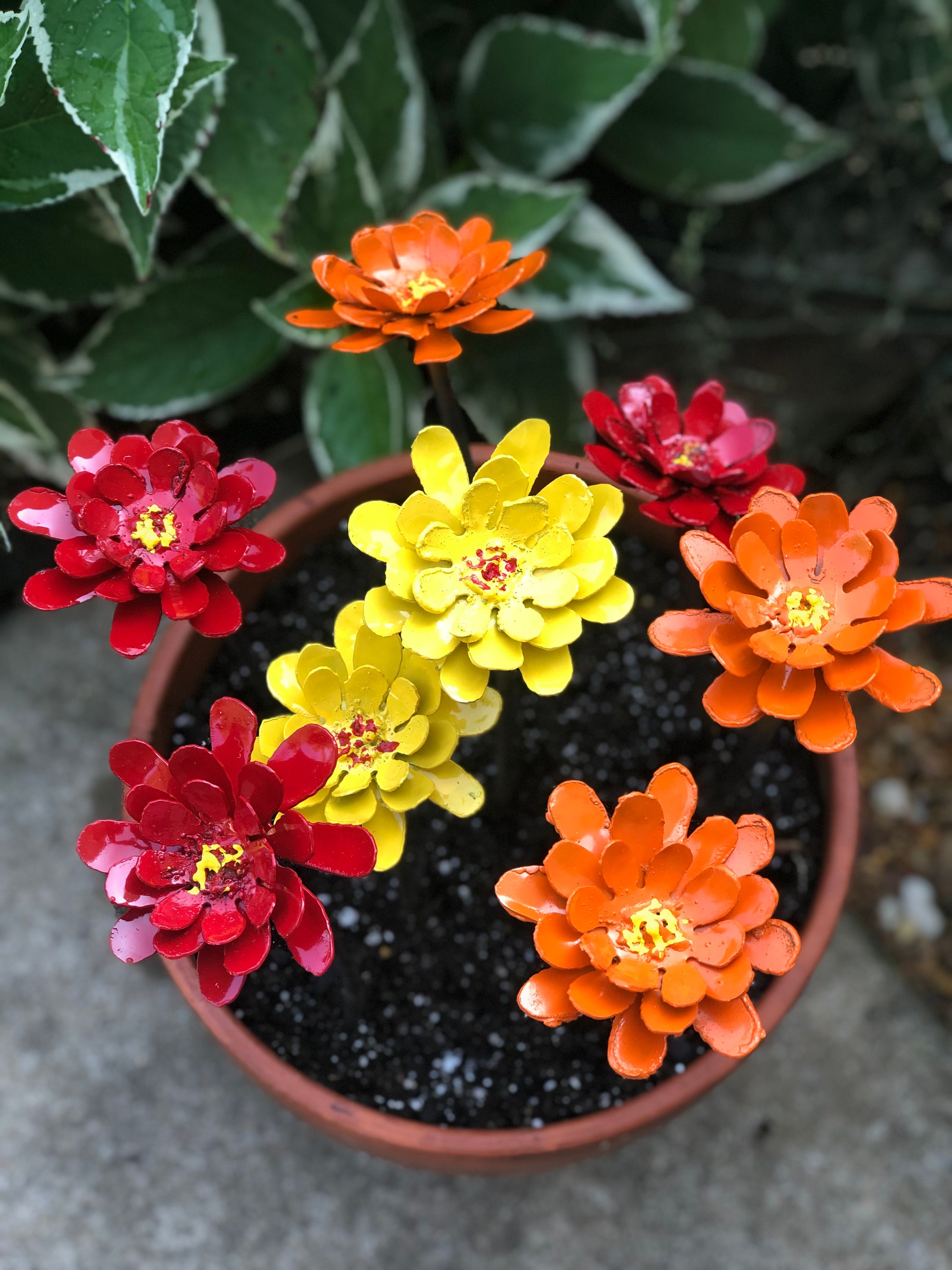 Zinnia metal planter insert - zinnia flower pot cluster - bring dead …