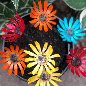 Gerbera artificial metal flowers restore life to empty pots - 7 bright colorful blooms no watering - multiple base sizes from 4&quot; up to 14&quot;