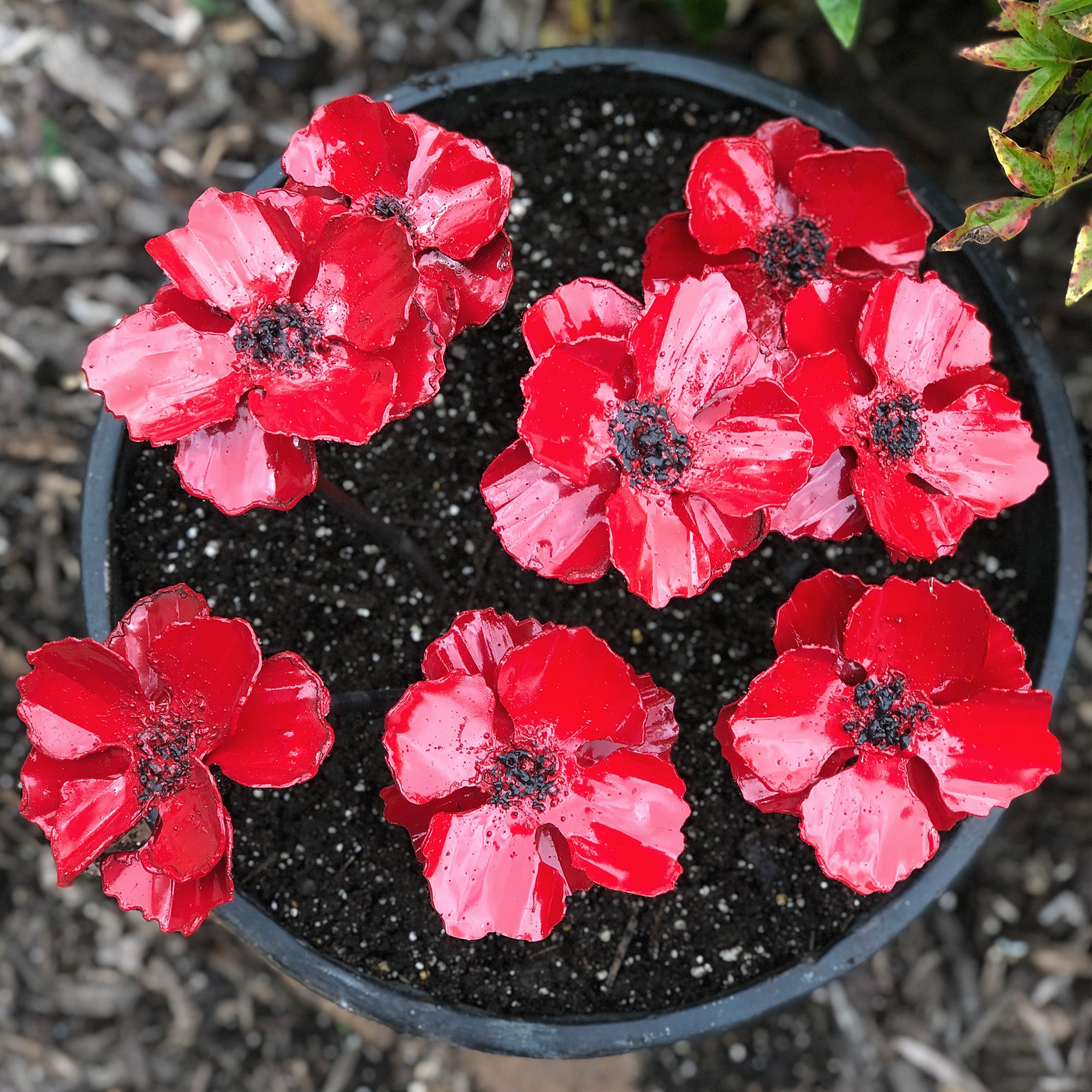 Poppy Metal Planter Insert Poppy Flower Pot Cluster Bring Etsy Canada
