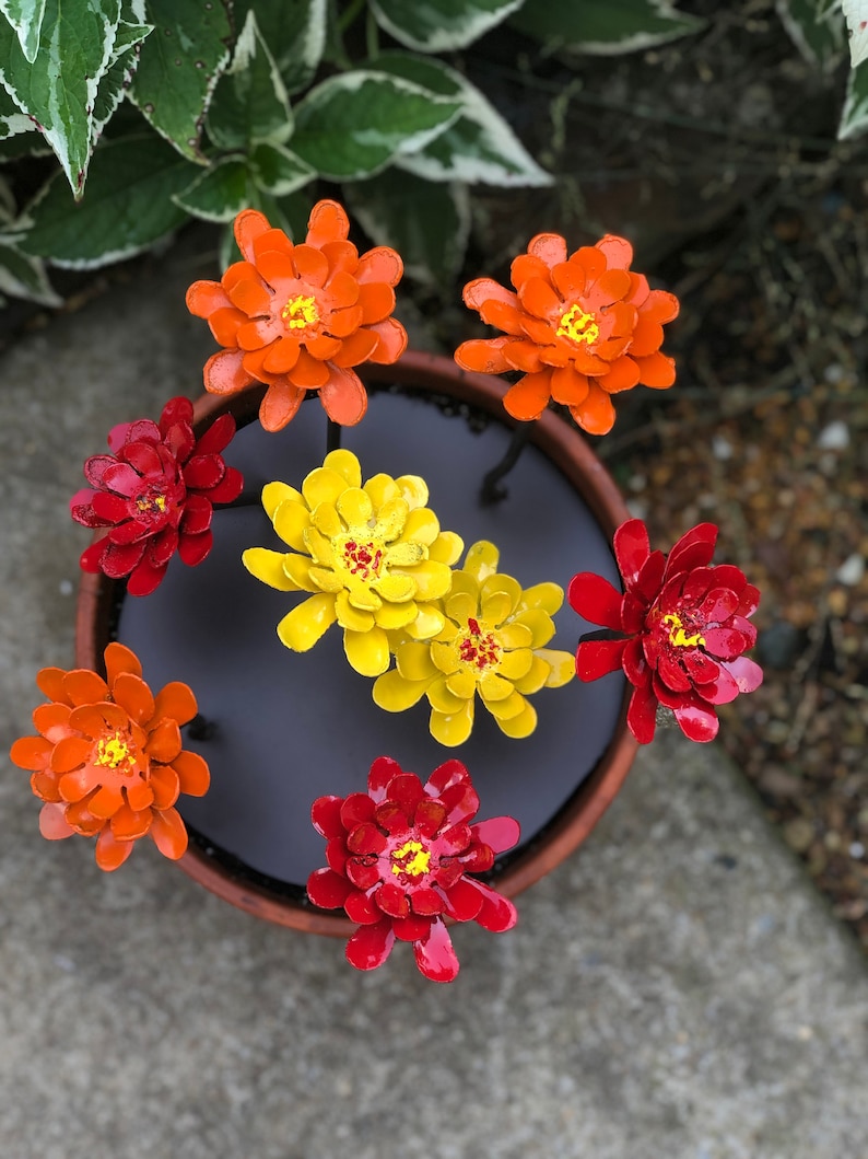 Zinnia metal planter insert zinnia flower pot cluster | Etsy