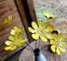 Yellow daisies metal outdoor flowers bringing pretty floral blooms to planters in winter and desert FREE SHIPPING 