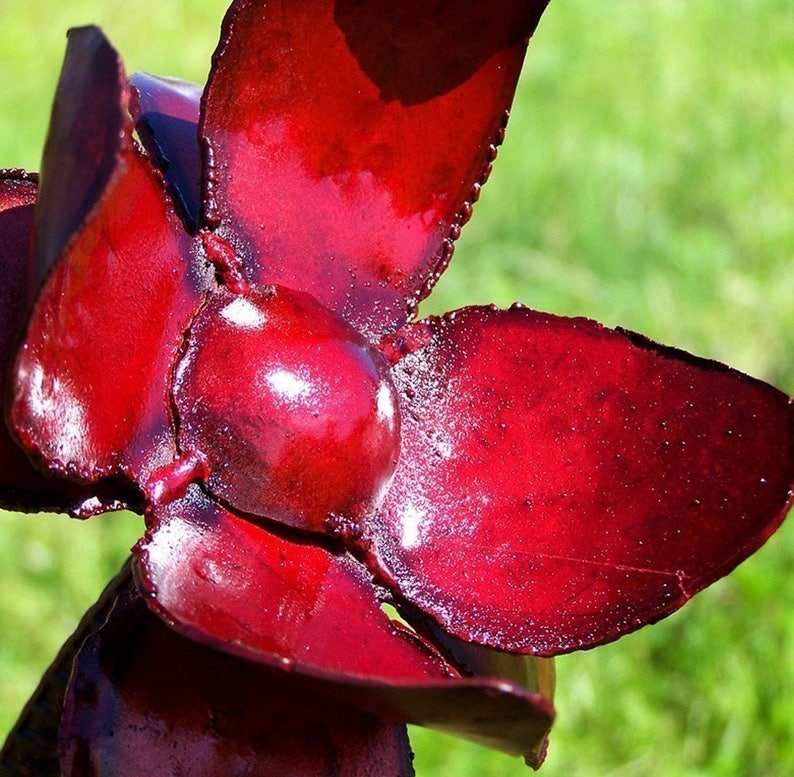 Op de afbeelding: Een rode metalen bloemsculptuur met vijf bloemblaadjes. De bloemblaadjes zijn glanzend en hebben een glad, afgerond oppervlak. De bloem is een decoratief stuk voor een tuin of huis.