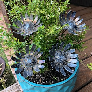 May include: Four metal sunflowers in a blue planter. The sunflowers are made of dark metal and have a textured finish. The planter is a light blue color and has a textured finish.