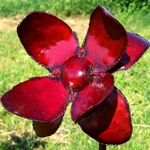 Op de afbeelding: Een rode metalen bloem met vijf bloemblaadjes. De bloem is glanzend en heeft een glanzende afwerking.