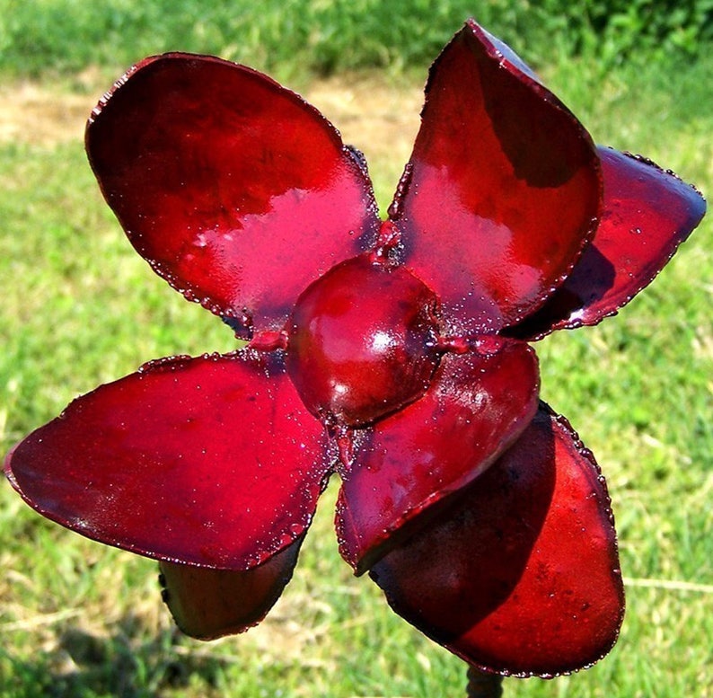 Op de afbeelding: Een rode metalen bloem met vijf bloemblaadjes. De bloem is glanzend en heeft een glanzende afwerking.