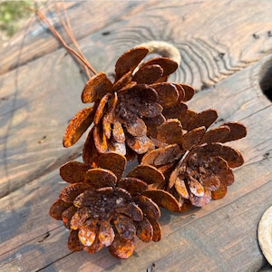 May include: Three rusty metal pine cones with brown wire stems. The pine cones are arranged in a cluster on a wooden surface.
