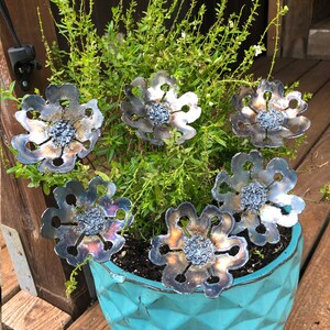 K&ouml;nnte beinhalten: Ein Set aus sechs Metallblumen in einem blauen Topf. Die Blumen sind aus Metall und haben einen rustikalen, verwitterten Look. Sie sind in einer Gruppe angeordnet, wobei die Stiele nach oben zeigen. Der Topf ist hellblau und hat eine strukturierte Oberfl&auml;che.