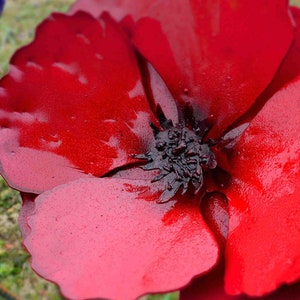 poppy handmade red metal outdoor flower stake, 22 inches tall 6 inches wide, no assembly required ready to plant flowers, drought resistant on stake for yard